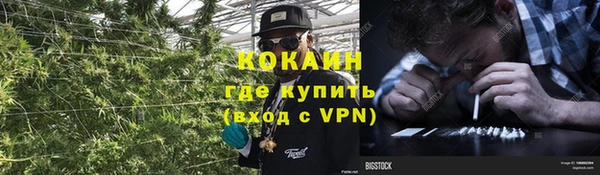 стафф Волоколамск