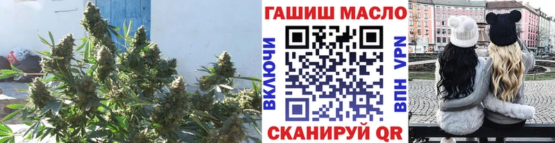 ТГК Wax  магазин продажи   Волхов 