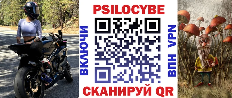 площадка формула  Волхов  Псилоцибиновые грибы Psilocybe 